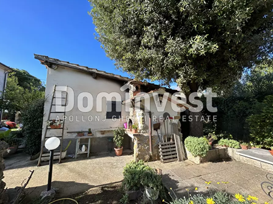 Immagine 7 di Villa in vendita  in carige alta a Capalbio