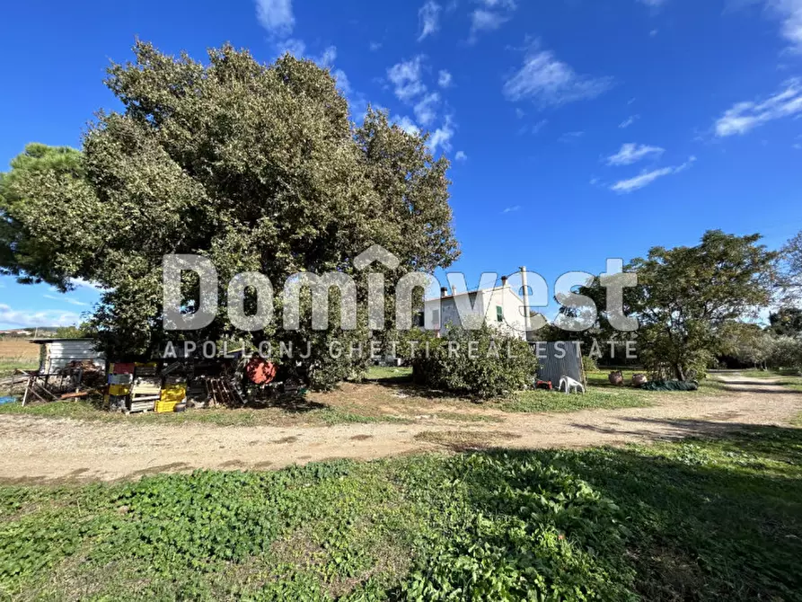 Immagine 10 di Villa in vendita  in carige alta a Capalbio