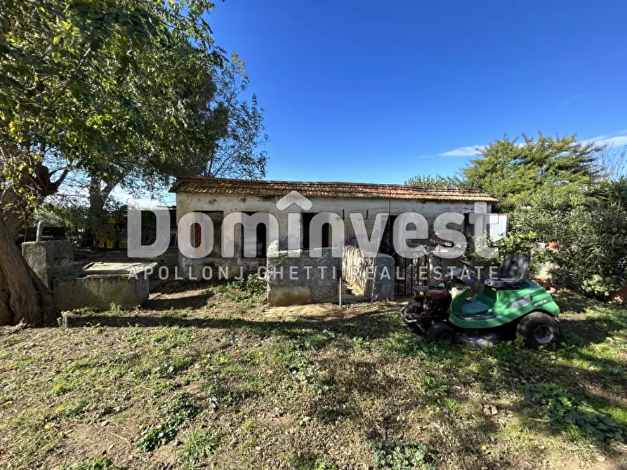 Immagine 11 di Villa in vendita  in carige alta a Capalbio