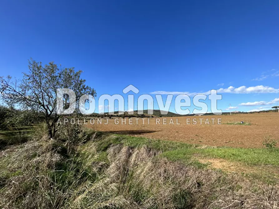 Immagine 13 di Villa in vendita  in carige alta a Capalbio