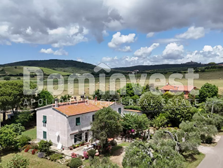 Immagine 15 di Villa in vendita  in carige alta a Capalbio