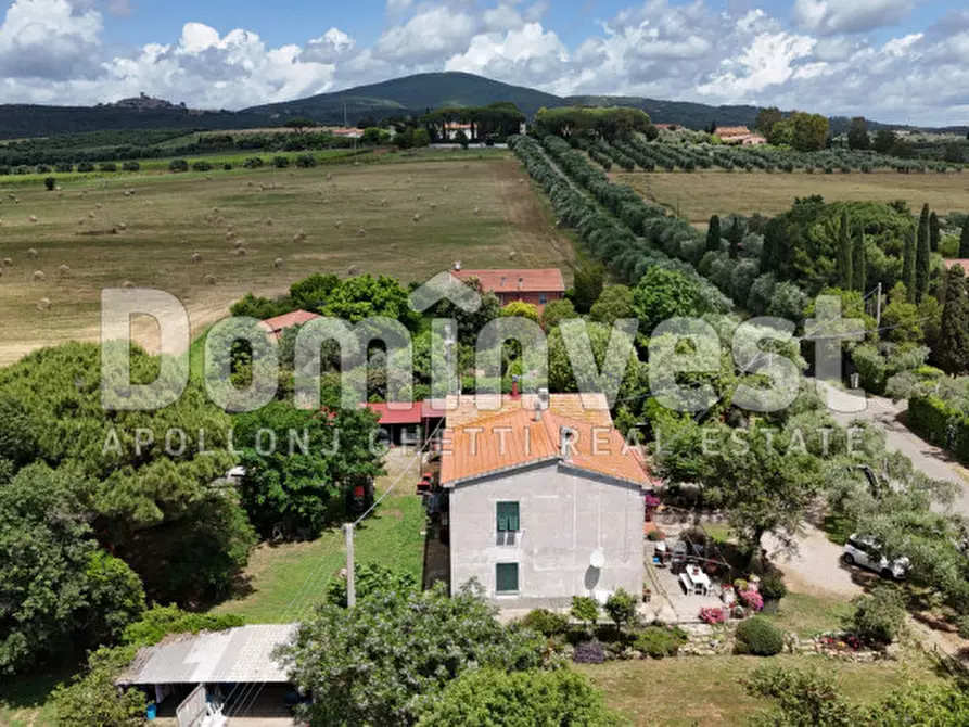 Immagine 17 di Villa in vendita  in carige alta a Capalbio