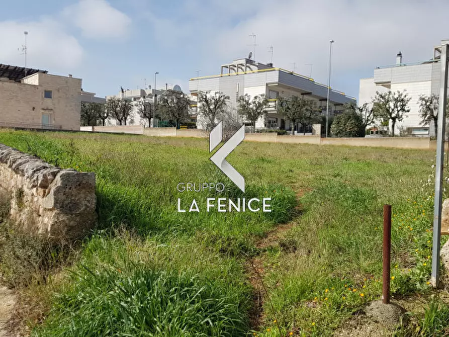 Immagine 2 di Terreno in vendita  in contrada Malzo a Locorotondo