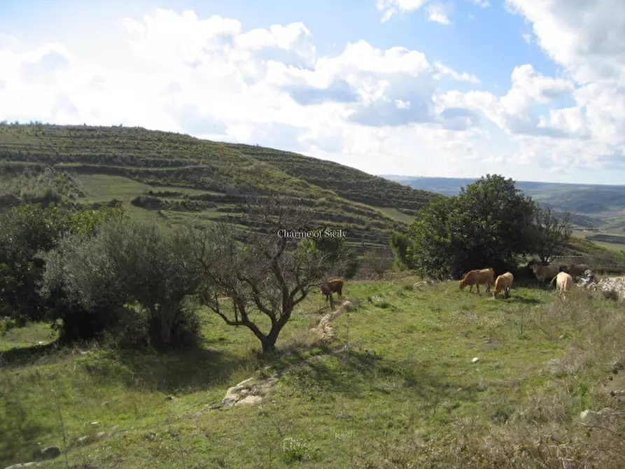 Immagine 16 di Casa indipendente in vendita  in Ragusa a Giarratana