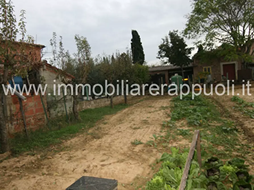 Immagine 21 di Casa indipendente in vendita  a Sinalunga