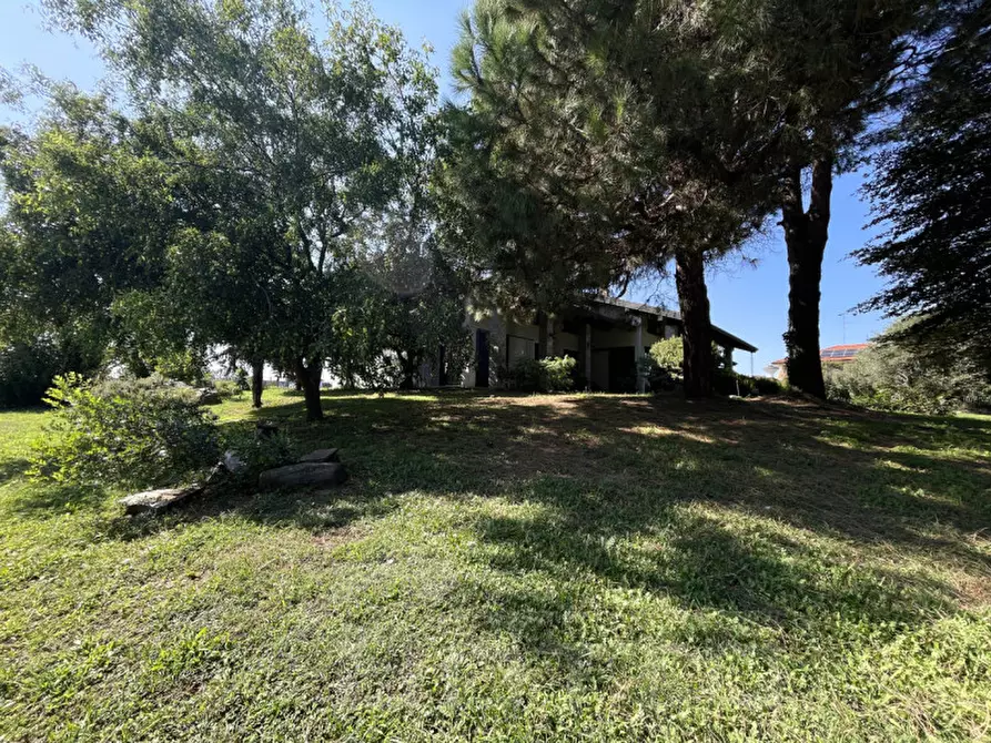 Immagine 4 di Villa in vendita  in vicolo gaudenzio beltrami 14 a Momo