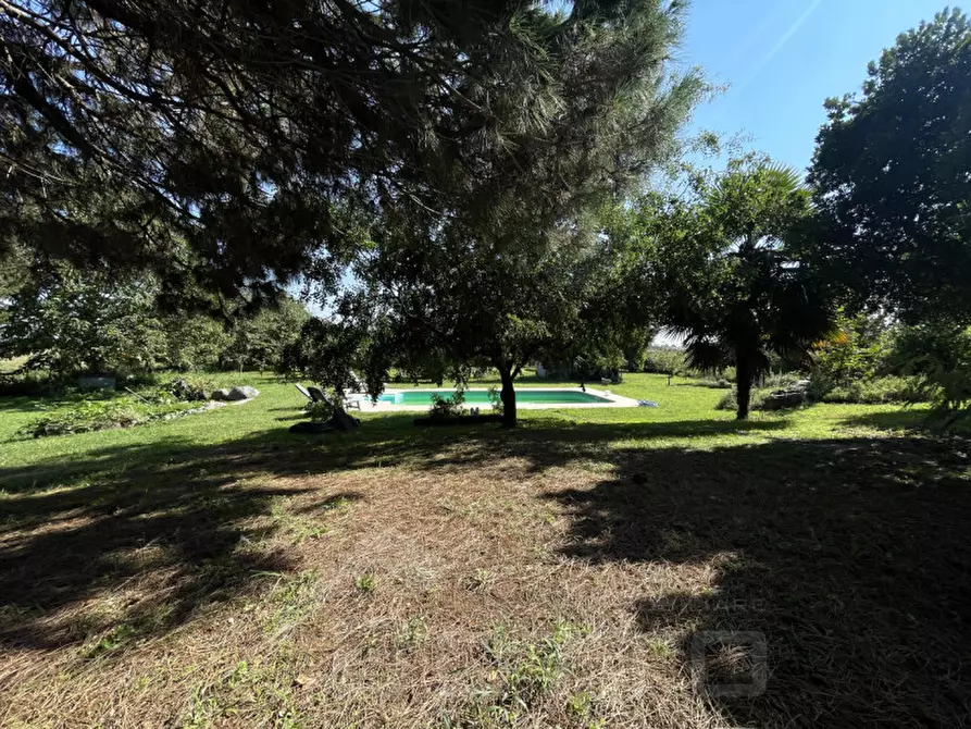 Immagine 14 di Villa in vendita  in vicolo gaudenzio beltrami 14 a Momo