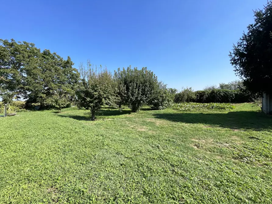 Immagine 18 di Villa in vendita  in vicolo gaudenzio beltrami 14 a Momo