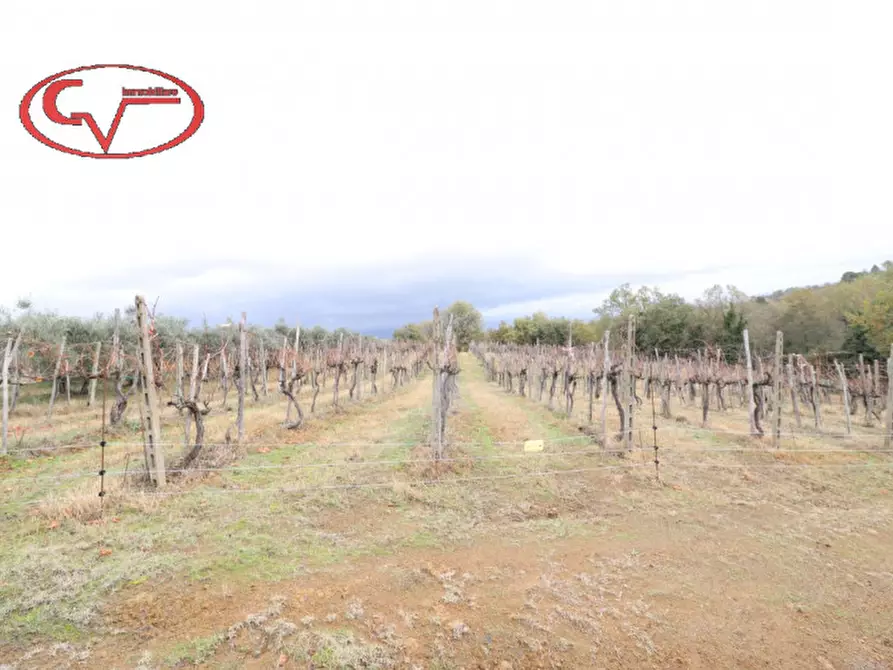 Immagine 6 di Capannone industriale in vendita  in selva a Montevarchi