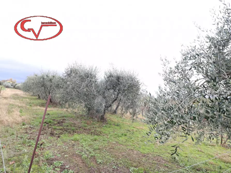 Immagine 7 di Capannone industriale in vendita  in selva a Montevarchi