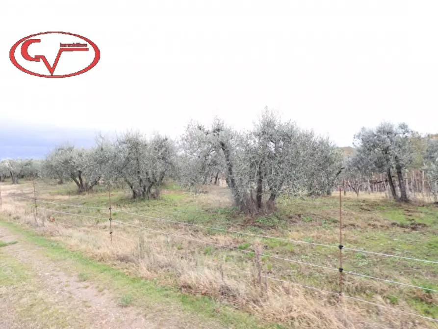 Immagine 8 di Capannone industriale in vendita  in selva a Montevarchi