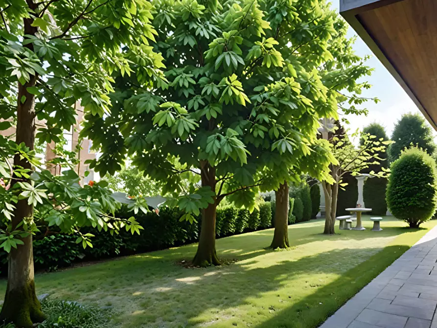 Immagine 2 di Casa indipendente in vendita  in Strada degli Ongari a Noale