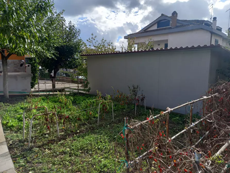 Immagine 48 di Palazzo in vendita  in via sandro botticelli a Rignano Flaminio