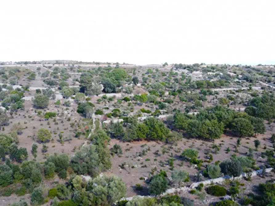 Immagine 5 di Rustico / casale in vendita  in cavagrande a Avola