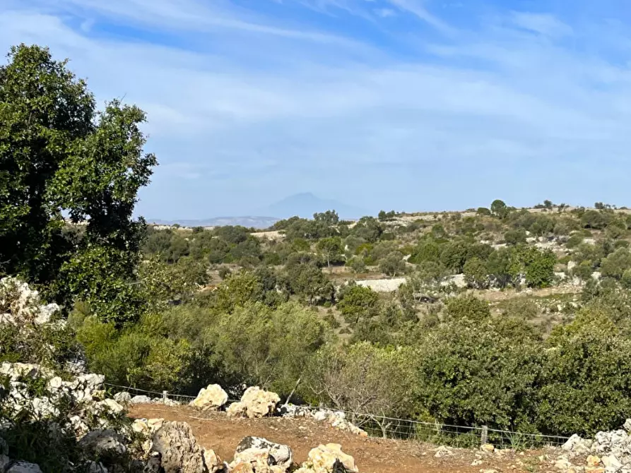 Immagine 9 di Rustico / casale in vendita  in cavagrande a Avola