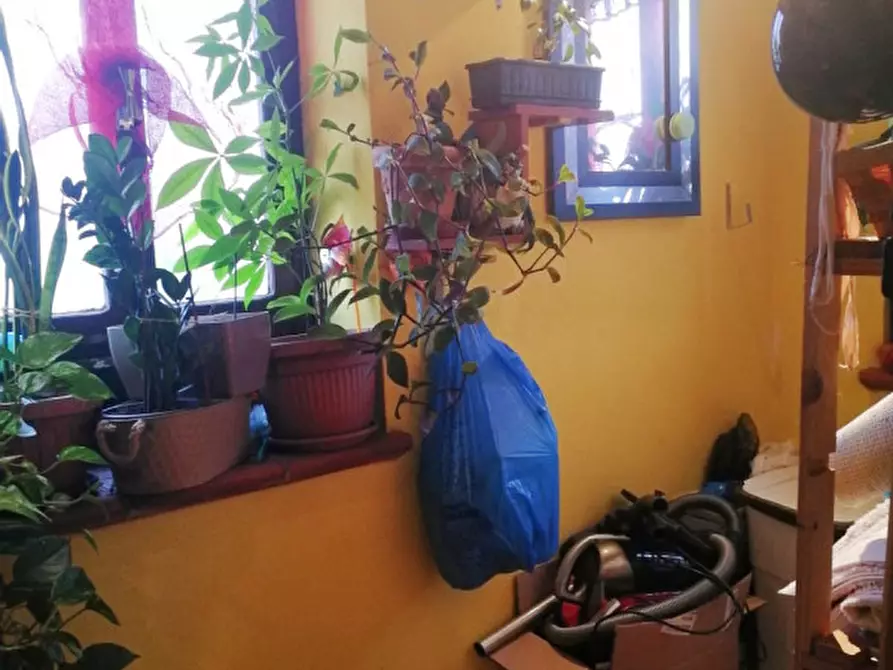 Immagine 16 di Casa indipendente in vendita  a Ceregnano