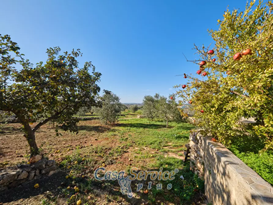 Immagine 38 di Villa in vendita  in SP360 a Taurisano