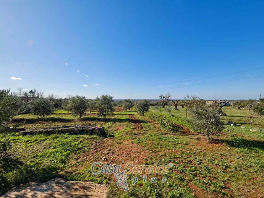 Immagine 40 di Villa in vendita  in SP360 a Taurisano