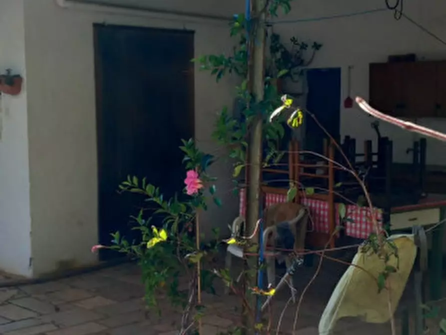 Immagine 2 di Rustico / casale in vendita  in C.da Colacurto a Carovigno