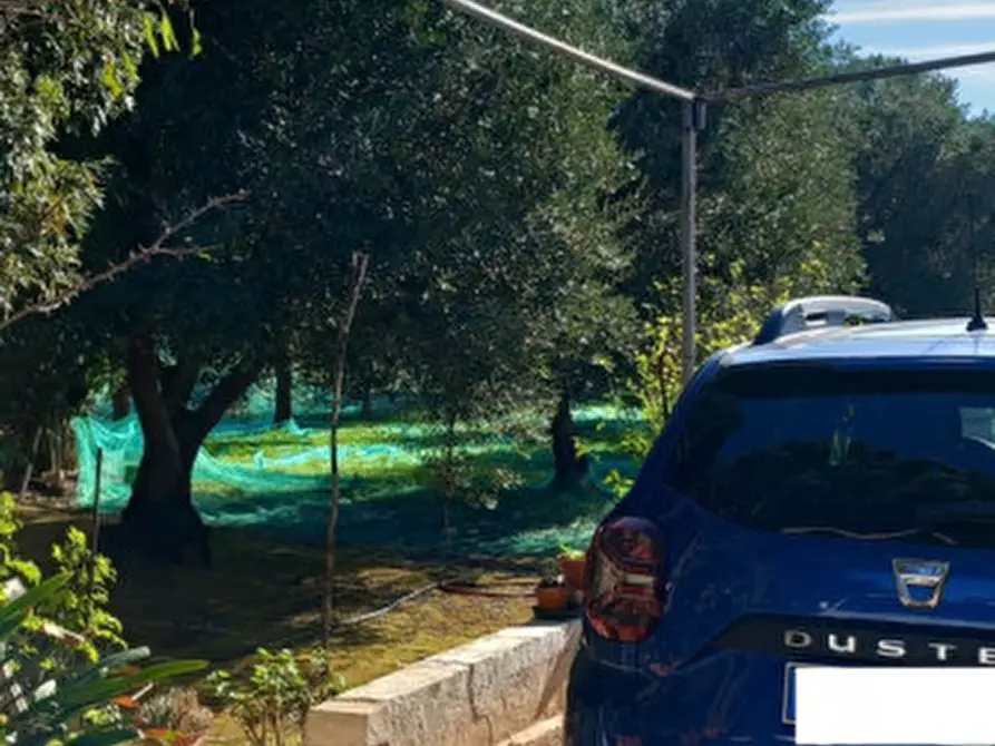 Immagine 4 di Rustico / casale in vendita  in C.da Colacurto a Carovigno