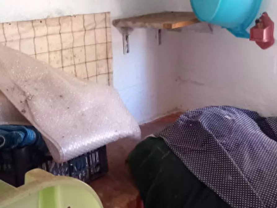 Immagine 5 di Rustico / casale in vendita  in C.da Colacurto a Carovigno