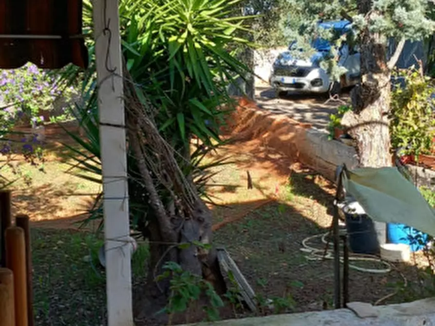 Immagine 12 di Rustico / casale in vendita  in C.da Colacurto a Carovigno