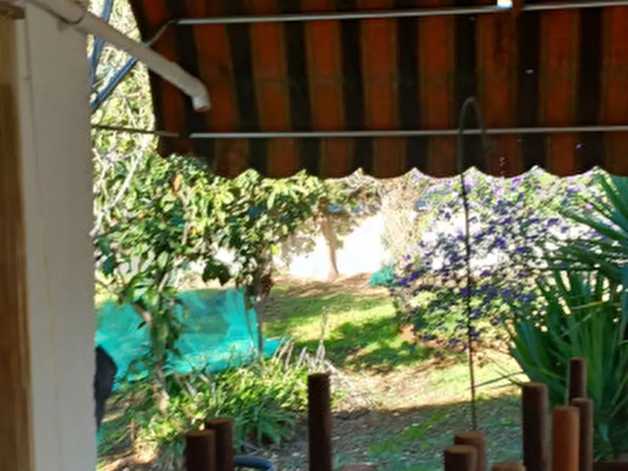 Immagine 13 di Rustico / casale in vendita  in C.da Colacurto a Carovigno