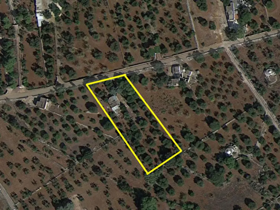 Immagine 18 di Rustico / casale in vendita  in C.da Colacurto a Carovigno