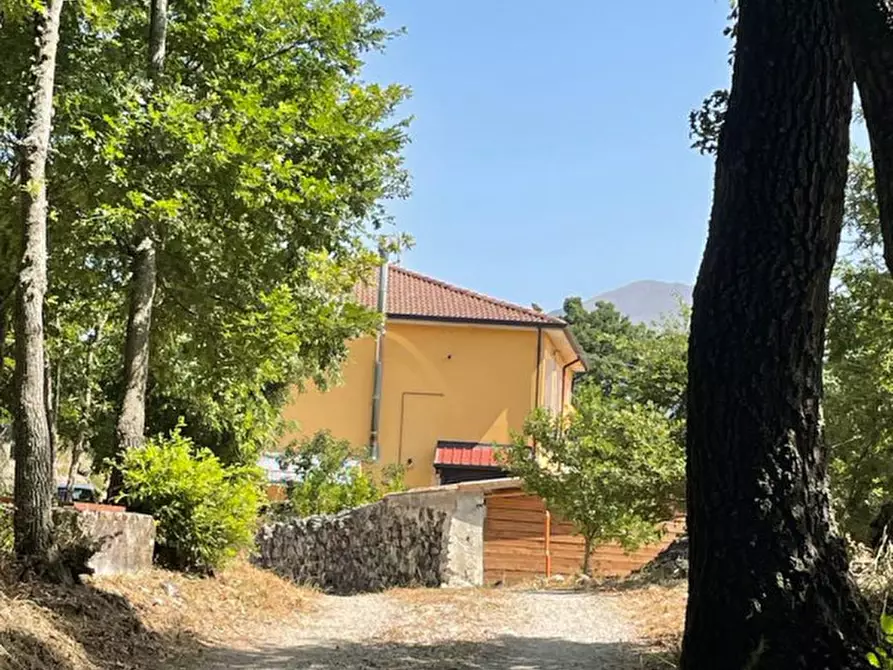 Immagine 2 di Villetta a schiera in vendita  a Tramutola