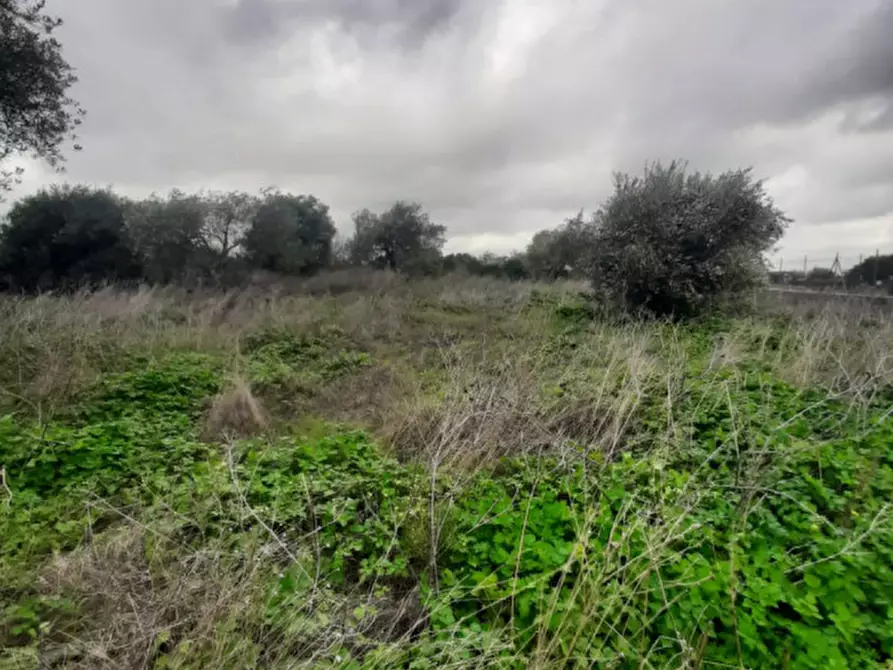 Immagine 1 di Terreno in vendita  in buddi buddi a Sassari