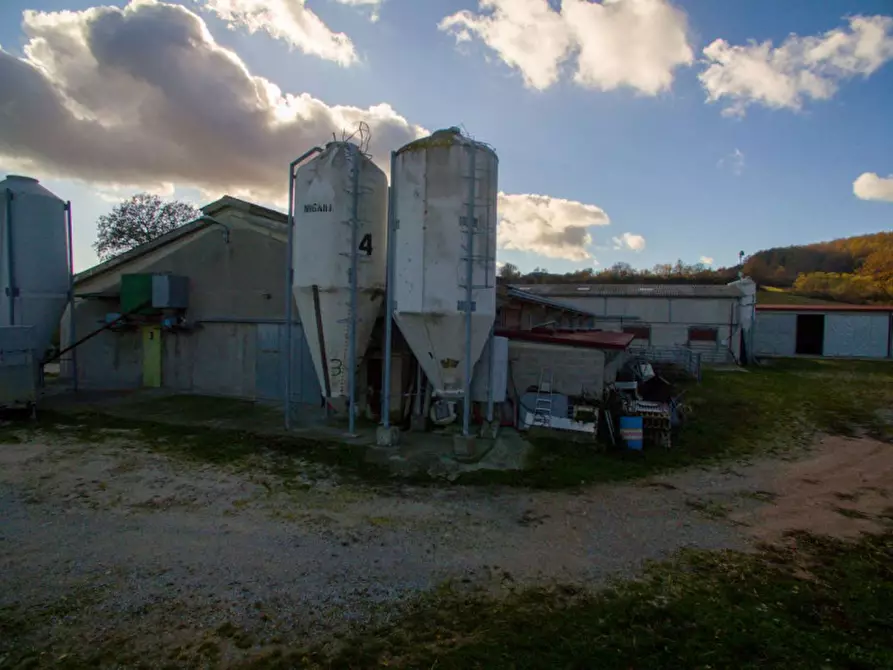 Immagine 20 di Terreno in vendita  in strada Provinciale SP112 a Carpegna