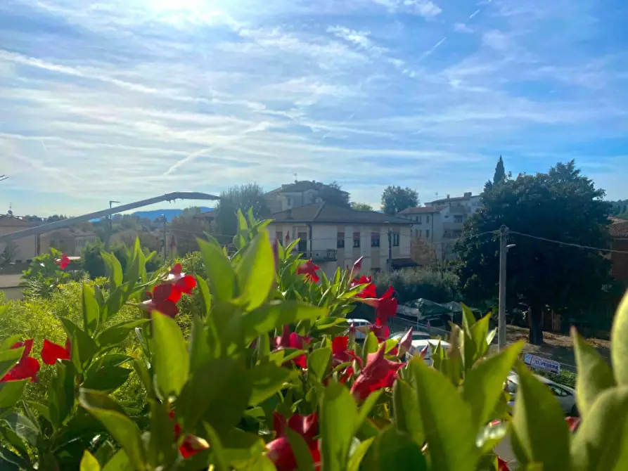 Immagine 5 di Palazzo in vendita  in STRADA DEL CAVALCAVIA a Vicenza