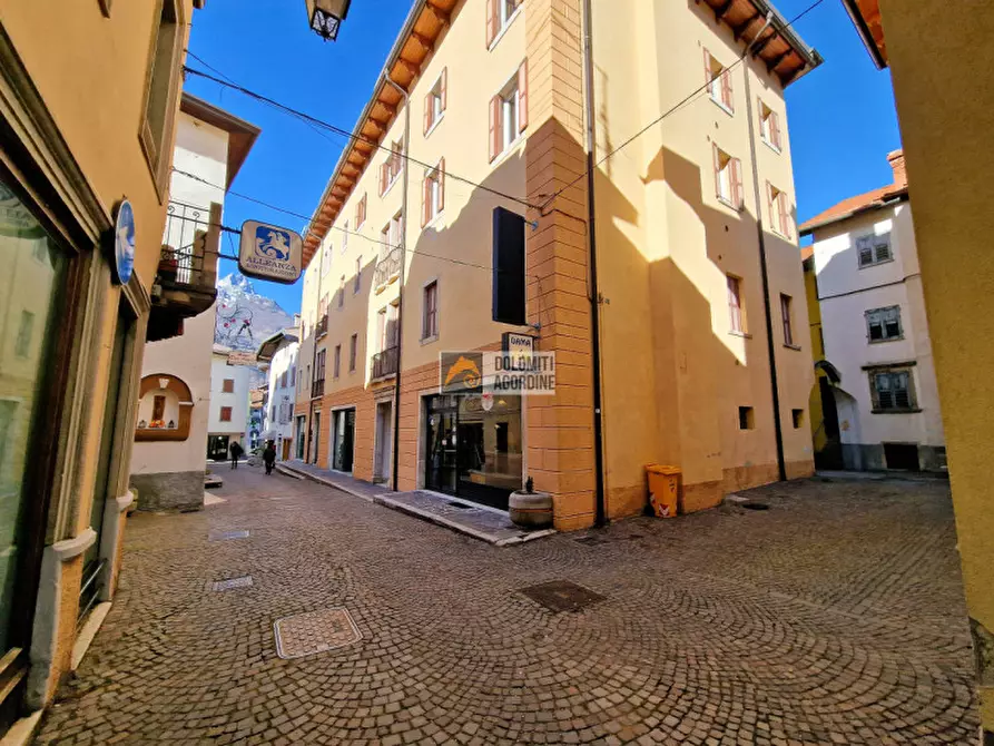 Immagine 6 di Attività commerciale in affitto  in Via Carrera a Agordo