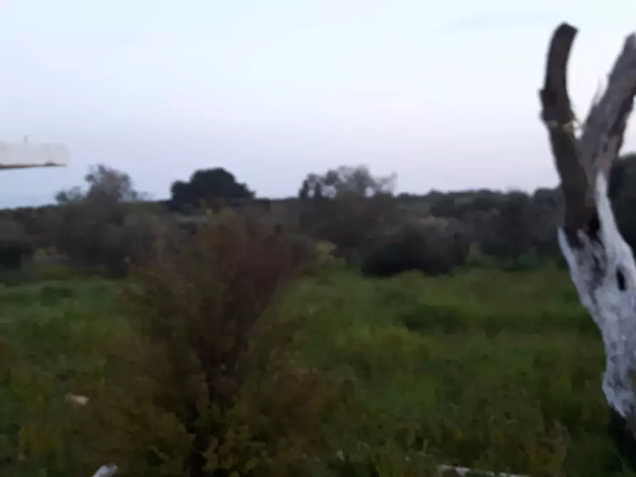 Immagine 7 di Rustico / casale in vendita  in C.da Falgheri a Ostuni