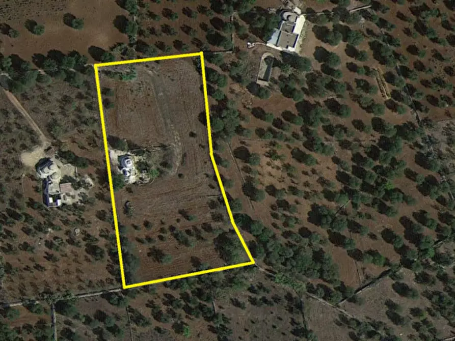 Immagine 9 di Rustico / casale in vendita  in C.da Falgheri a Ostuni