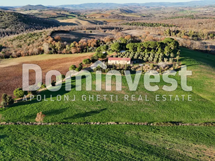 Immagine 2 di Rustico / casale in vendita  in Strada Provinciale Sgrilla a Capalbio