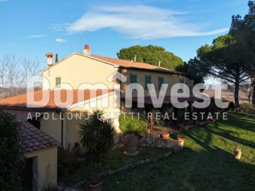 Immagine 4 di Rustico / casale in vendita  in Strada Provinciale Sgrilla a Capalbio