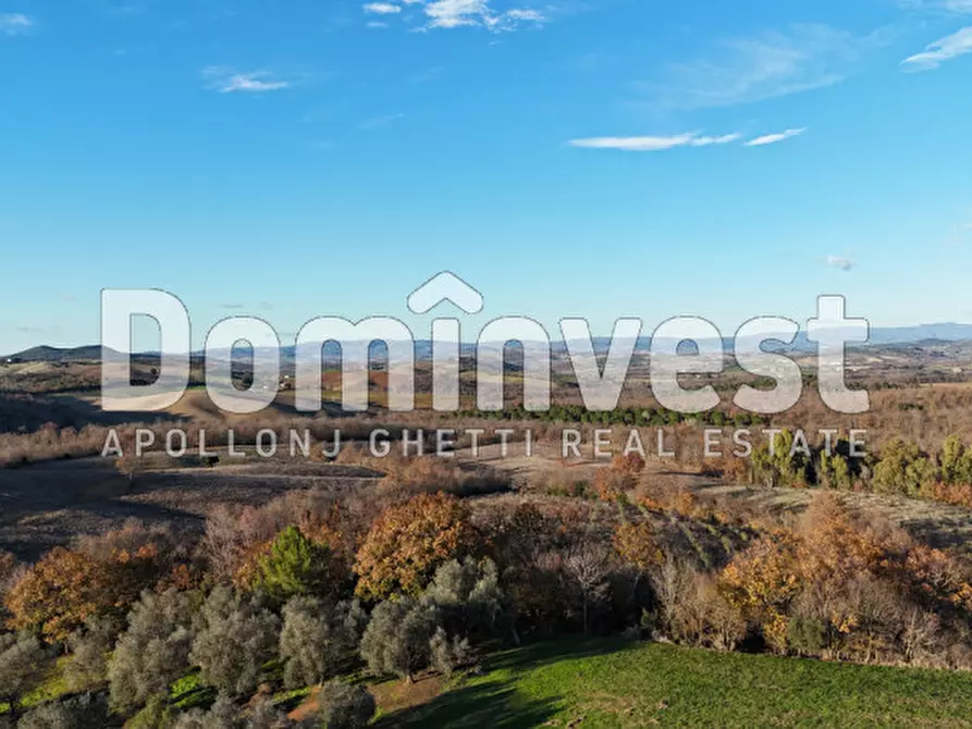 Immagine 5 di Rustico / casale in vendita  in Strada Provinciale Sgrilla a Capalbio