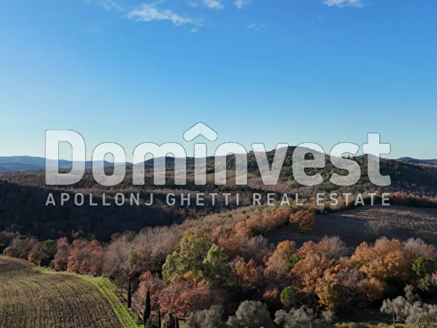 Immagine 6 di Rustico / casale in vendita  in Strada Provinciale Sgrilla a Capalbio