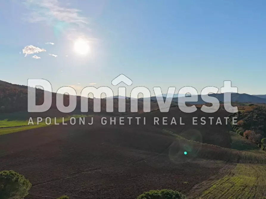 Immagine 7 di Rustico / casale in vendita  in Strada Provinciale Sgrilla a Capalbio