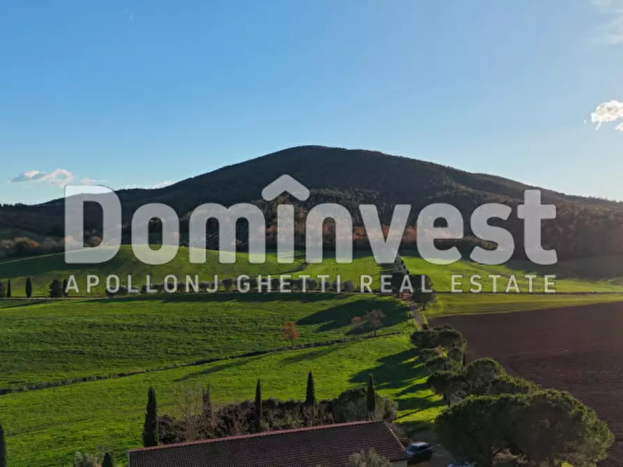 Immagine 8 di Rustico / casale in vendita  in Strada Provinciale Sgrilla a Capalbio