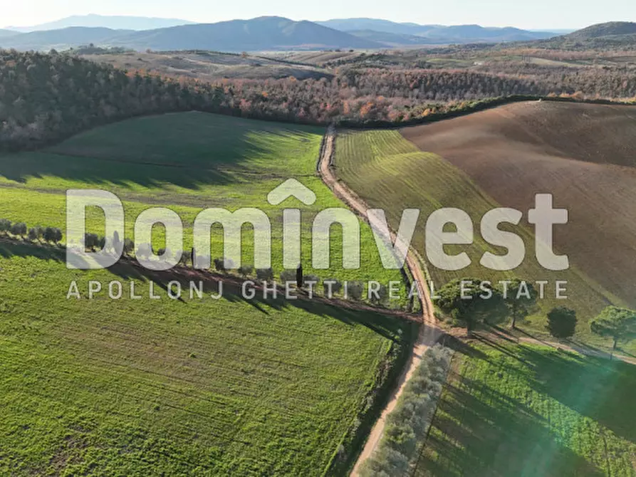 Immagine 11 di Rustico / casale in vendita  in Strada Provinciale Sgrilla a Capalbio