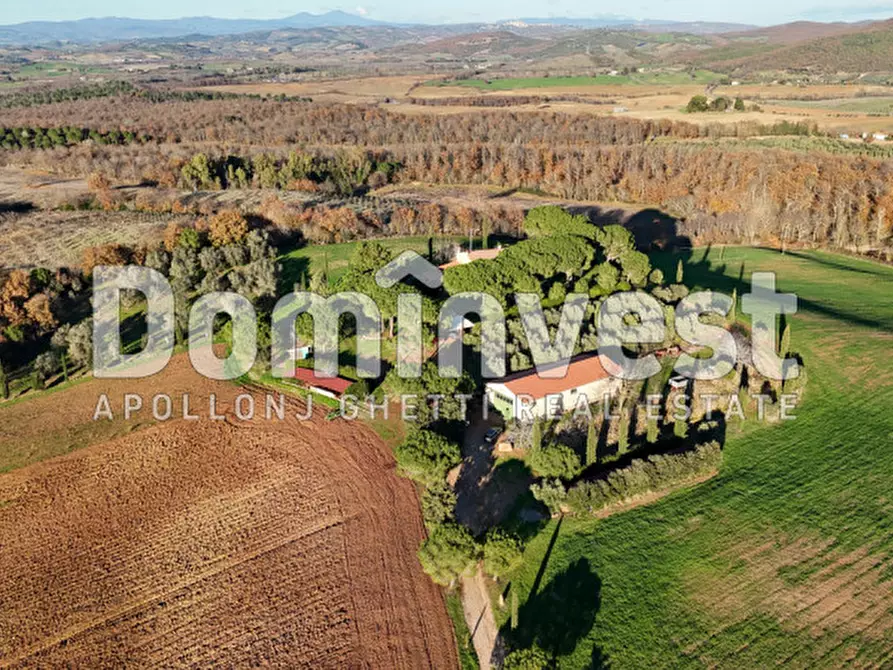 Immagine 13 di Rustico / casale in vendita  in Strada Provinciale Sgrilla a Capalbio