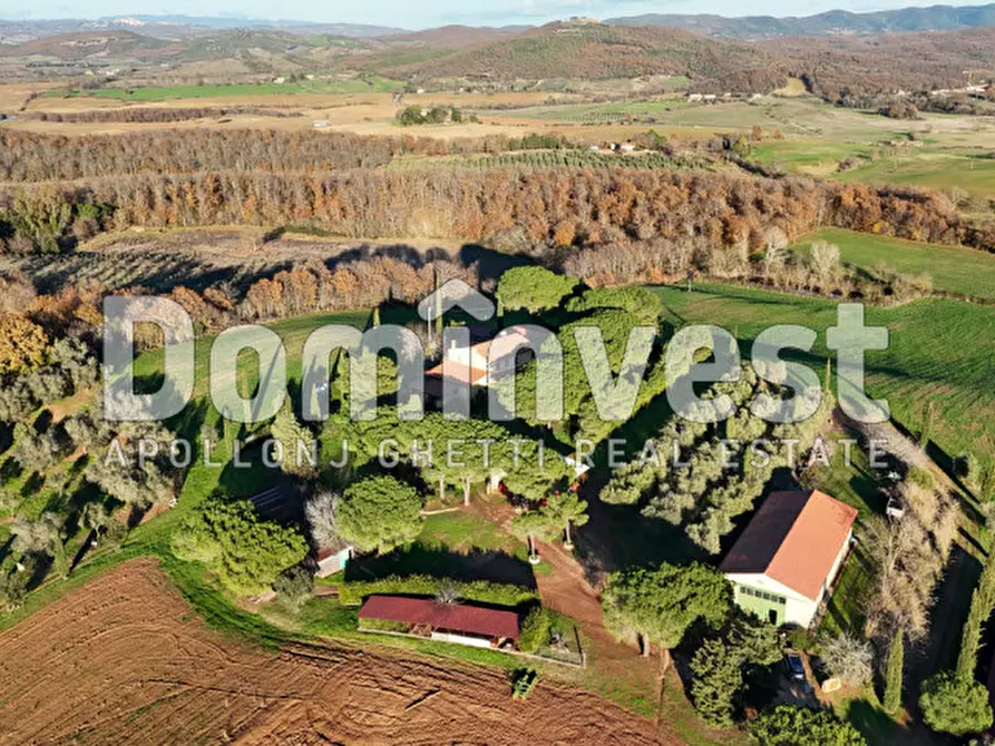Immagine 14 di Rustico / casale in vendita  in Strada Provinciale Sgrilla a Capalbio