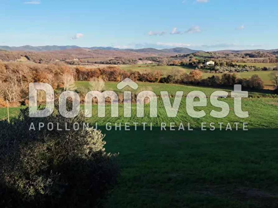 Immagine 21 di Rustico / casale in vendita  in Strada Provinciale Sgrilla a Capalbio