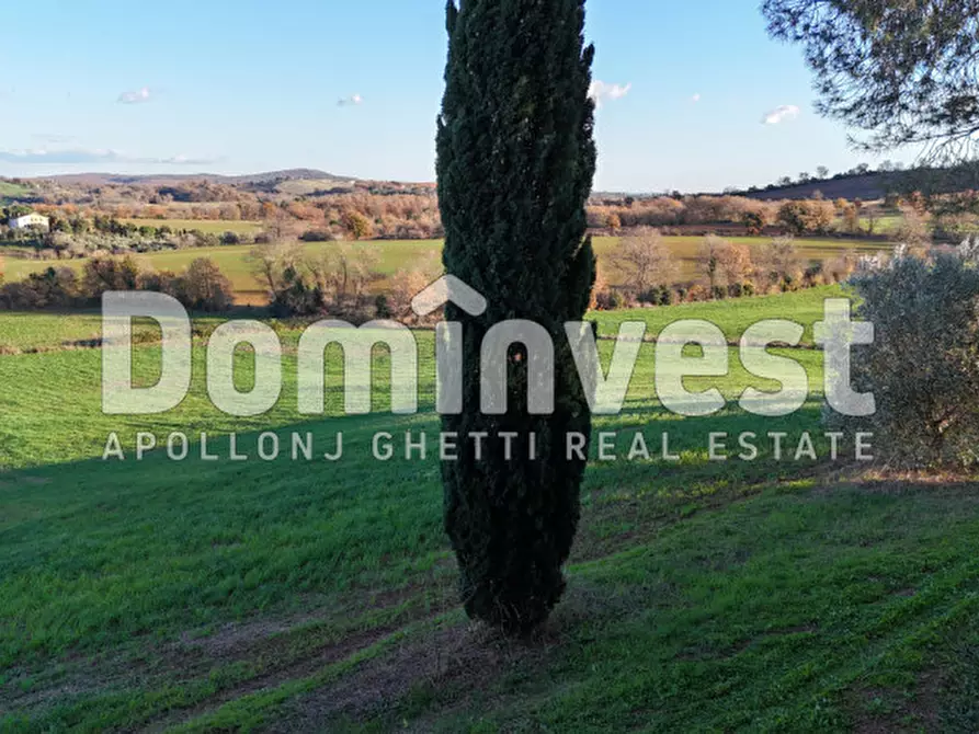 Immagine 22 di Rustico / casale in vendita  in Strada Provinciale Sgrilla a Capalbio