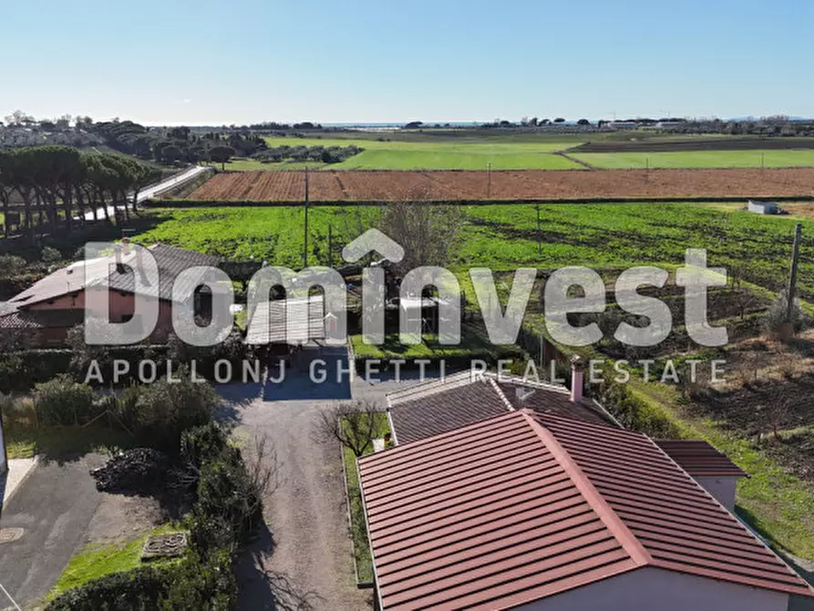 Immagine 4 di Villa in vendita  in Strada Selva Nera a Capalbio