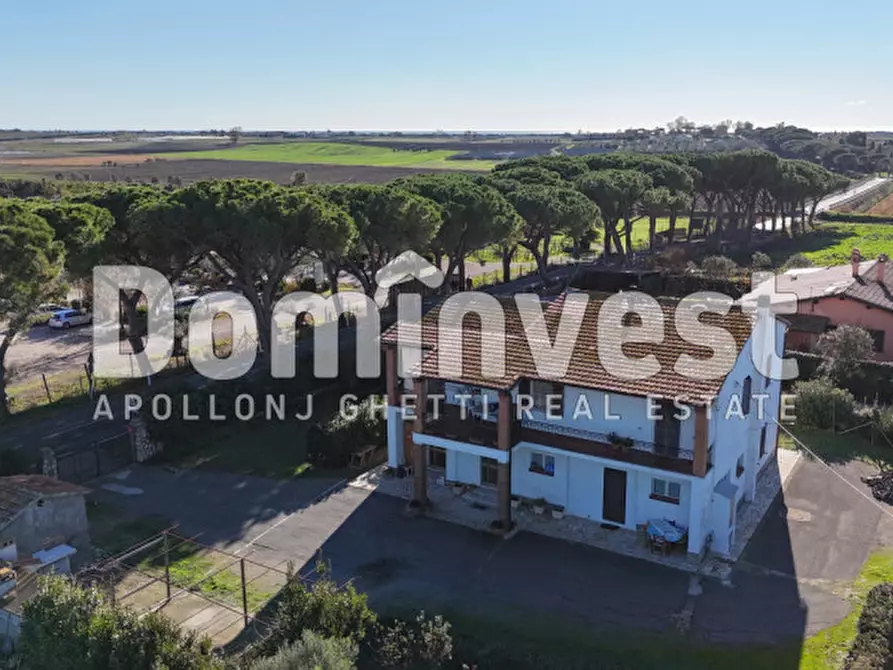 Immagine 13 di Villa in vendita  in Strada Selva Nera a Capalbio