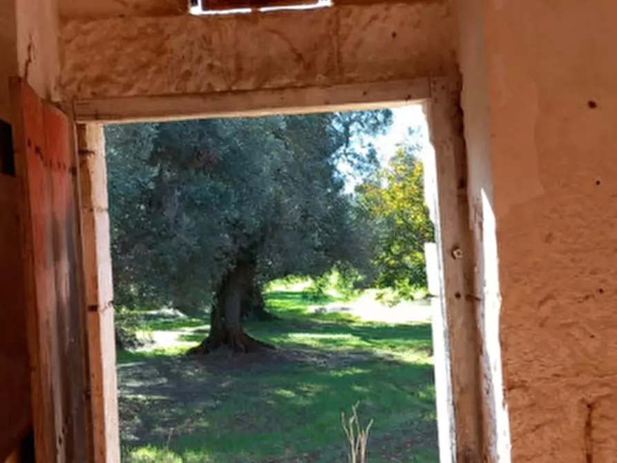 Immagine 10 di Rustico / casale in vendita  in C.da Arrighi a Carovigno