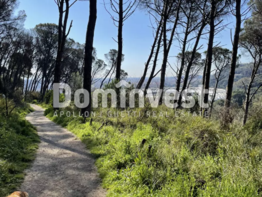 Immagine 20 di Villa in vendita  in viale della Repubblica a Marino